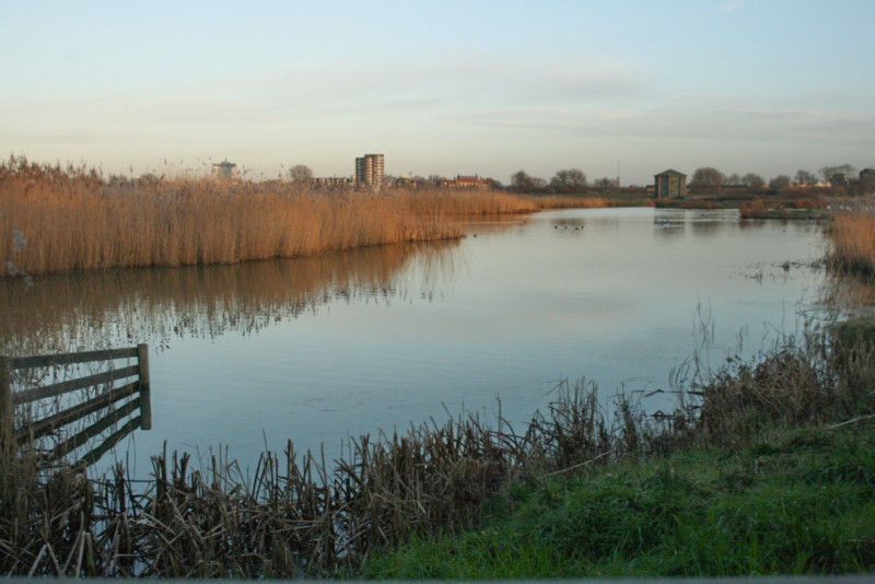 London Wetlands Centre